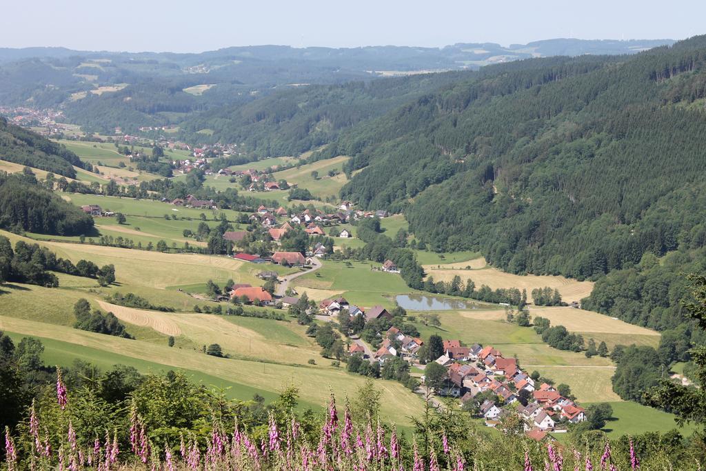 Haus Traudel Matt Hotel Elzach Buitenkant foto
