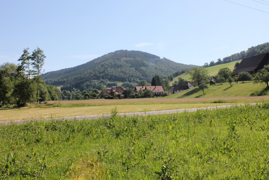 Haus Traudel Matt Hotel Elzach Buitenkant foto