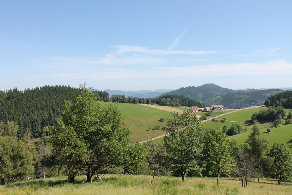 Haus Traudel Matt Hotel Elzach Buitenkant foto